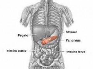 cisti epatiche e al pancreas