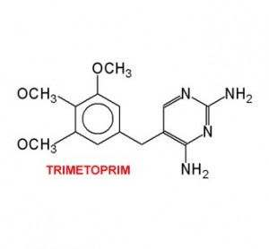 trattamento della cistite Trimetoprim