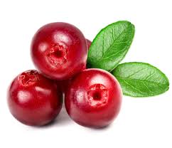 Cranberry,-pianta-amica-della-vescica-contro-la-cistite